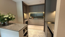 Amber House (D15), Apartment #492524861